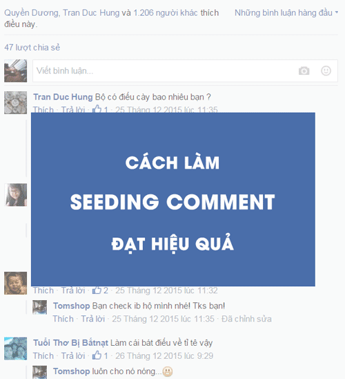 Seeding Comment Facebook Là Gì? Tổng Hợp Các Mẫu Seeding Hiệu Quả